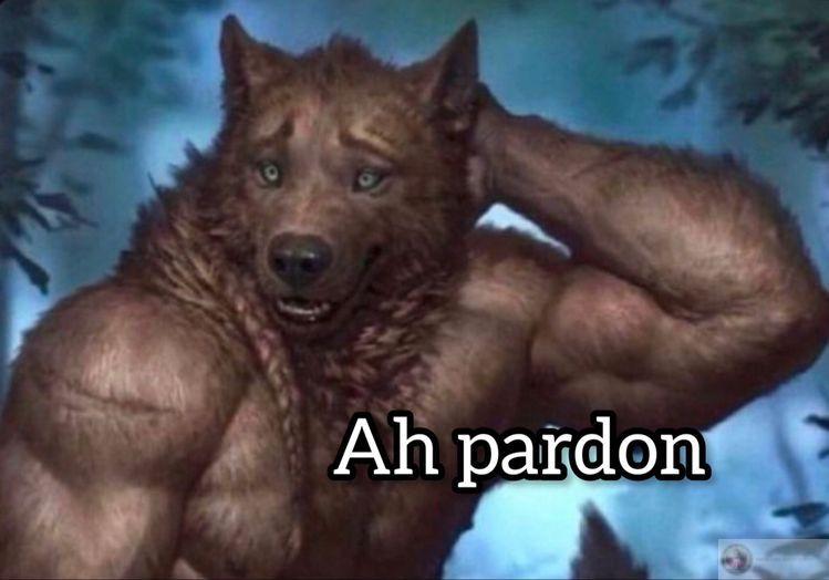 Meme sói cô độc mang phong cách đặc trưng với sự đối lập thú vị ngộ nghĩnh