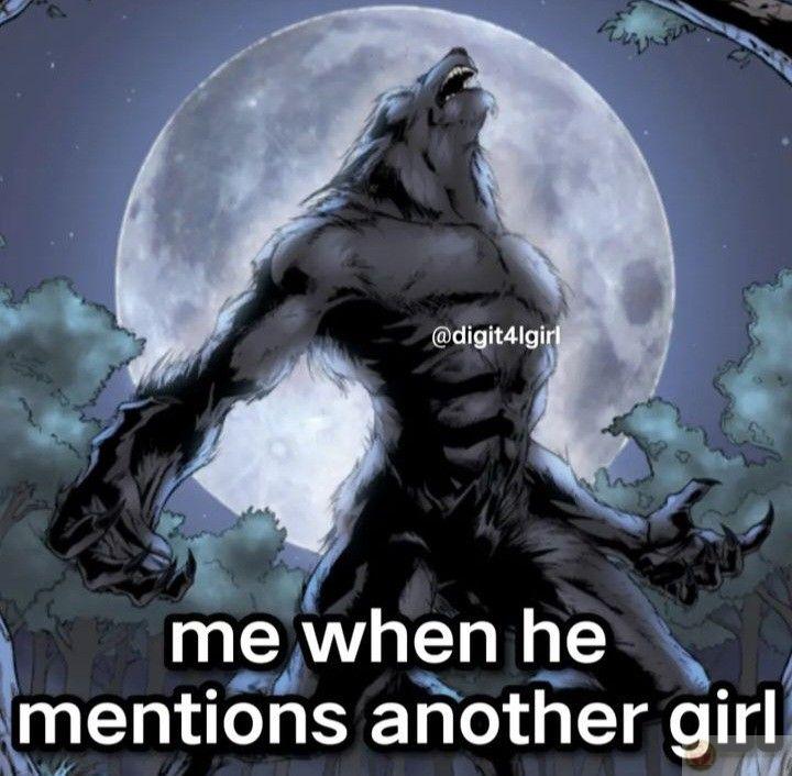 Meme sói cô độc tạo nên xu hướng chế ảnh lan rộng trên mạng xã hội