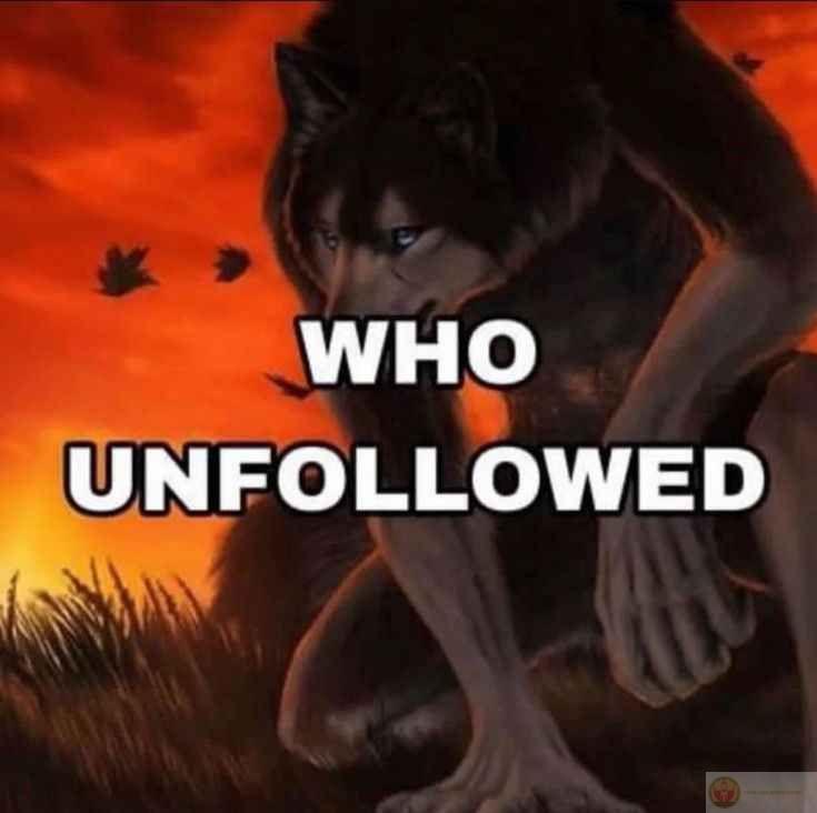 Sói cô độc meme dễ dàng trở thành công cụ hài hước trong giao tiếp hằng ngày