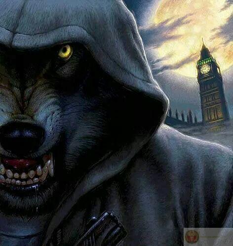 Sói cô độc meme khẳng định vị trí đặc biệt trong thế giới chế ảnh hiện nay