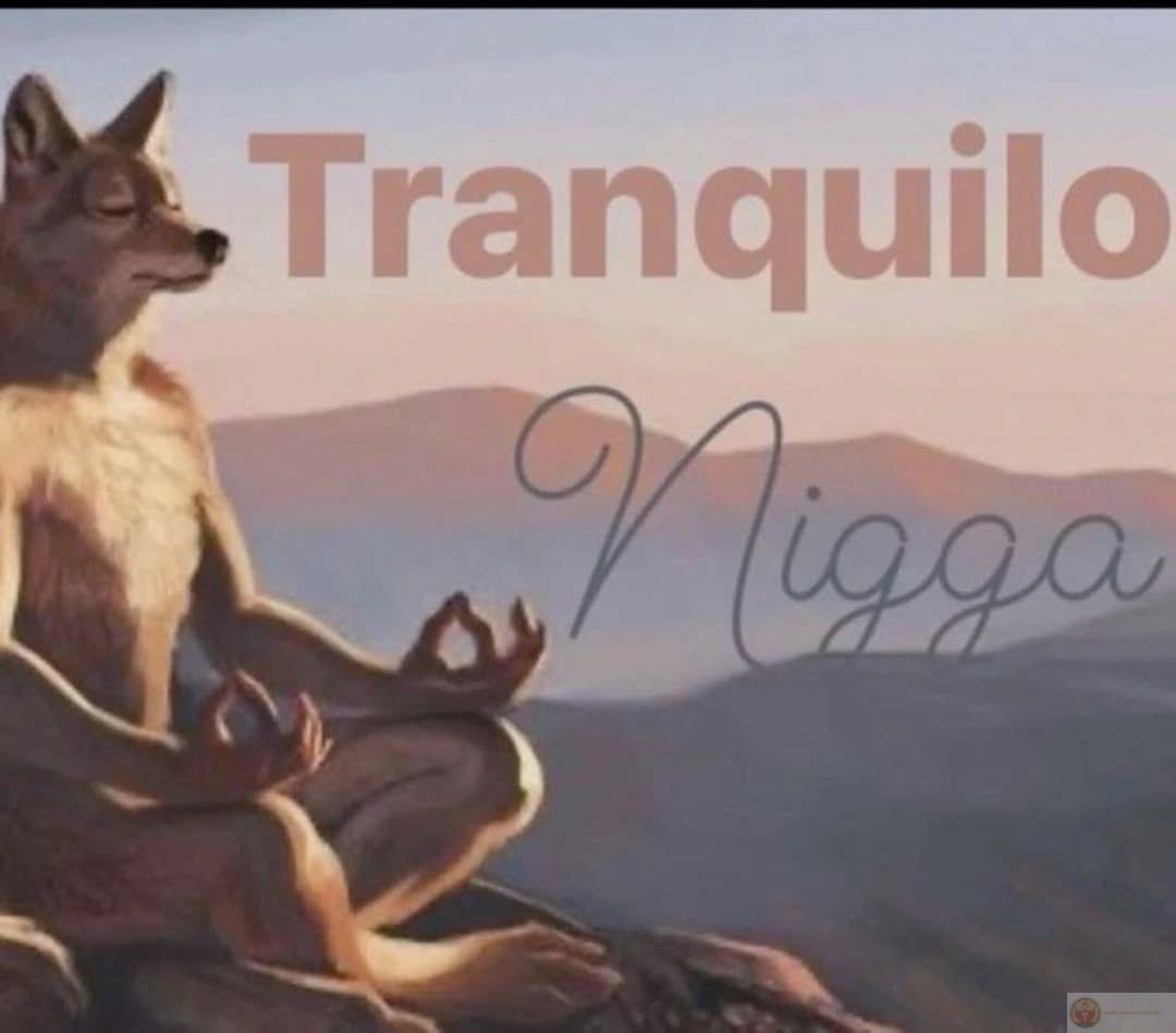 Sói cô độc meme là gì được giới trẻ quan tâm vì tính hài hước trong chế ảnh