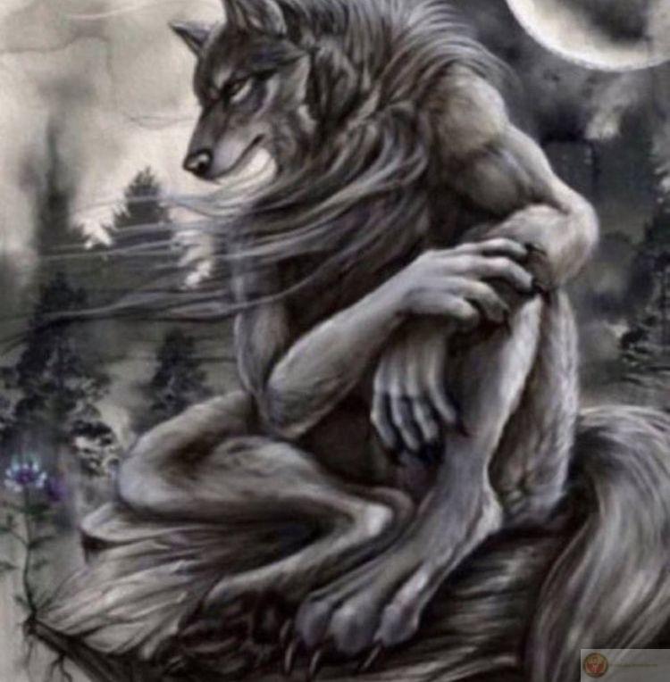 Sói cô độc meme là gì giúp khẳng định sự lan tỏa mạnh mẽ trong cộng đồng mạng