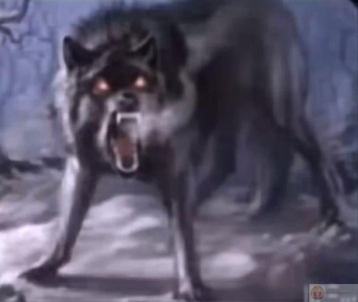 Sói cô độc meme là gì thường gắn liền với những thắc mắc thú vị của giới trẻ