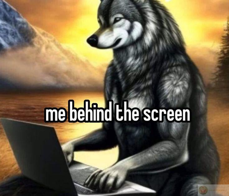 Sói cô độc meme là gì thu hút nhiều bạn trẻ nhờ ý nghĩa châm biếm độc đáo