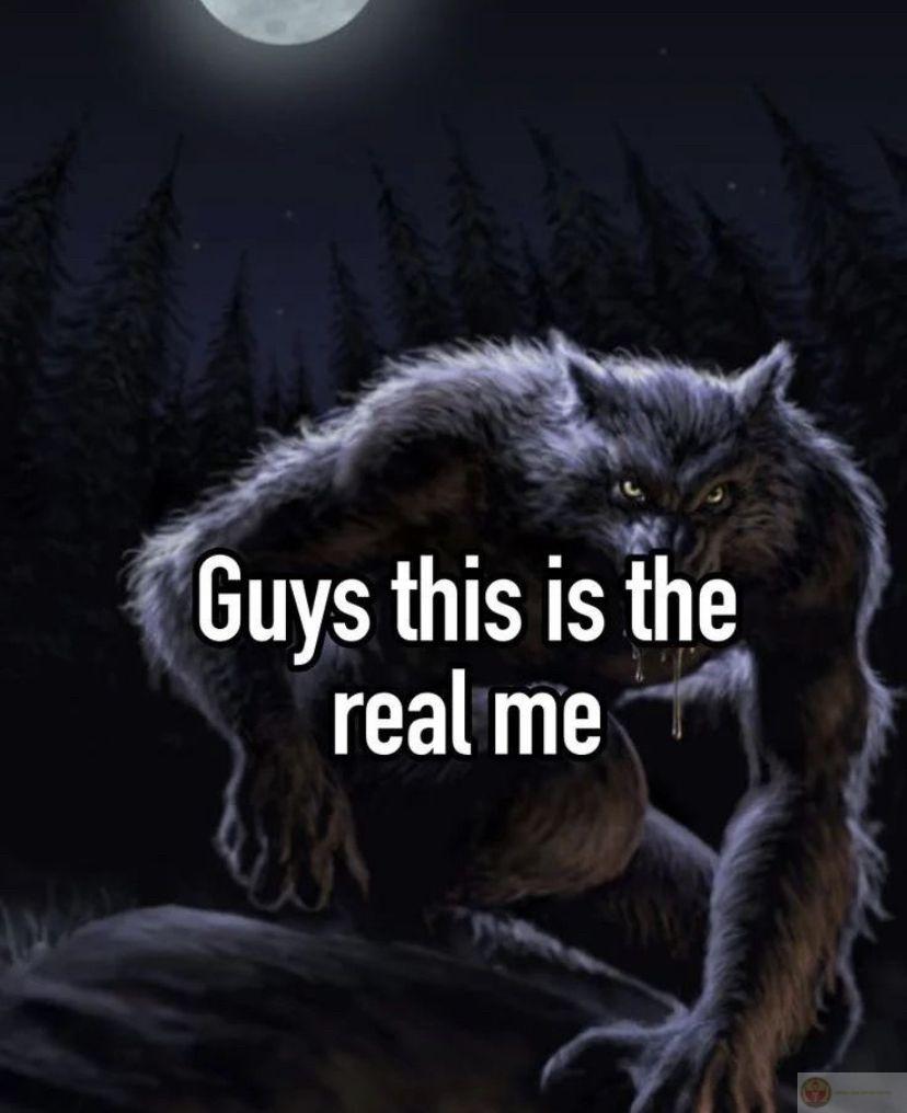 Sói cô độc meme nhảy