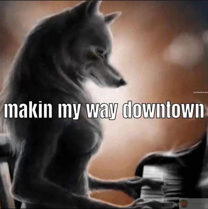 Sói cô độc meme nhảy khẳng định sự sáng tạo không giới hạn trong chế ảnh