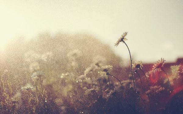 Hình nền mưa Full HD cho những bạn đang buồn 31