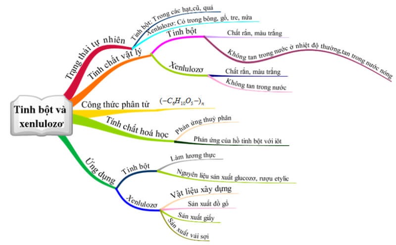 tinh-bot-va-xenlulozo-khac-nhau-ve-3
