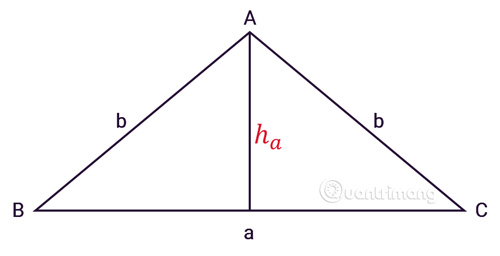 S=frac{5times2.4}{2}=6 m^2