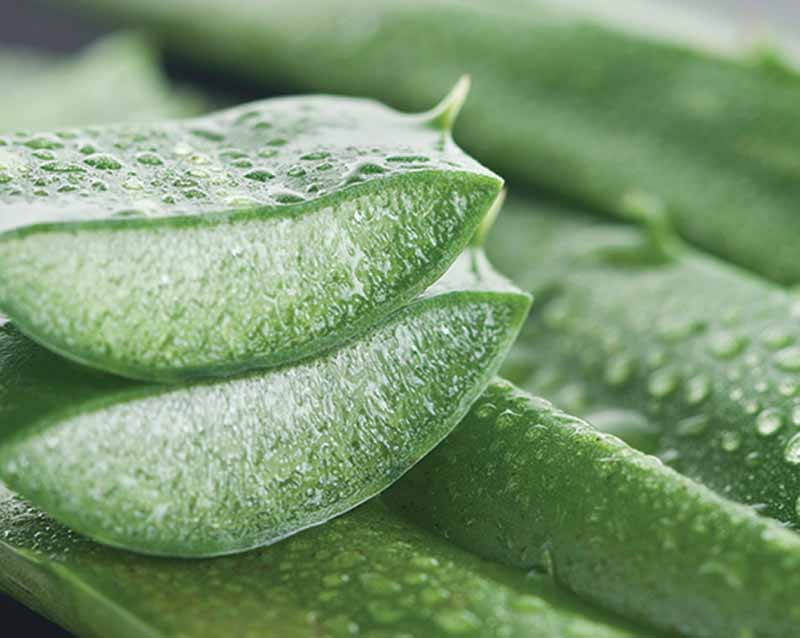 Illumination Juice® Facial Tonic - Illuminating Facial Toner