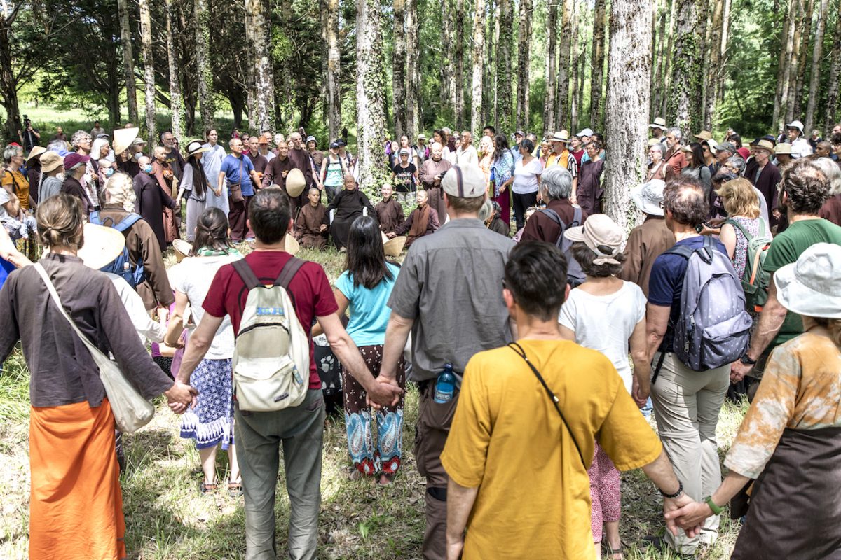 Vai trò của chánh niệm và sự tương tức trong một môi trường cạnh tranh là gì?