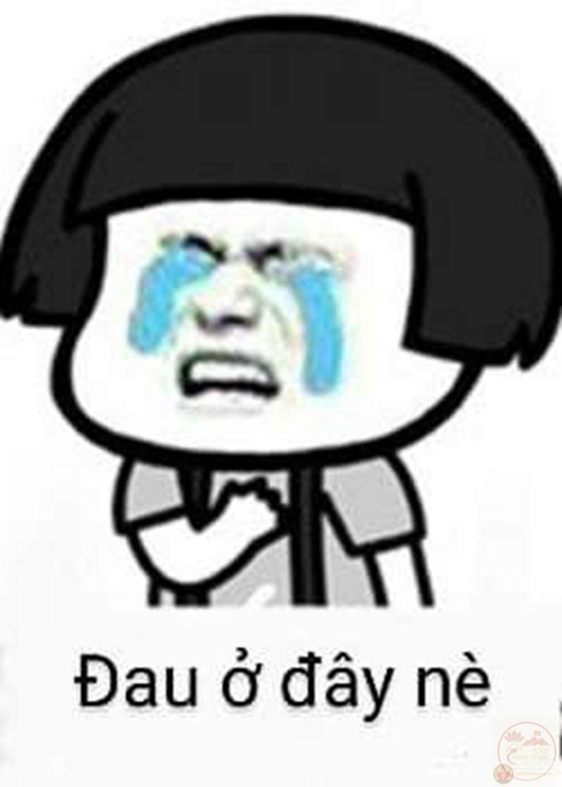 Đau ở đây nè meme