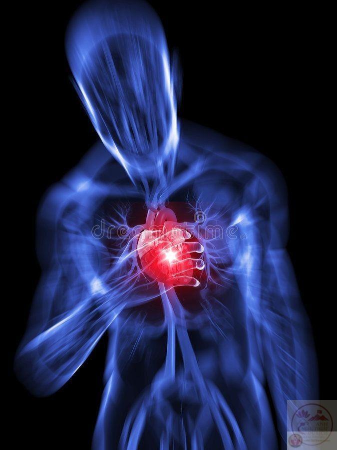 Meme đau tim khiến người ta bật cười dù đang giả vờ ôm ngực đầy bi kịch