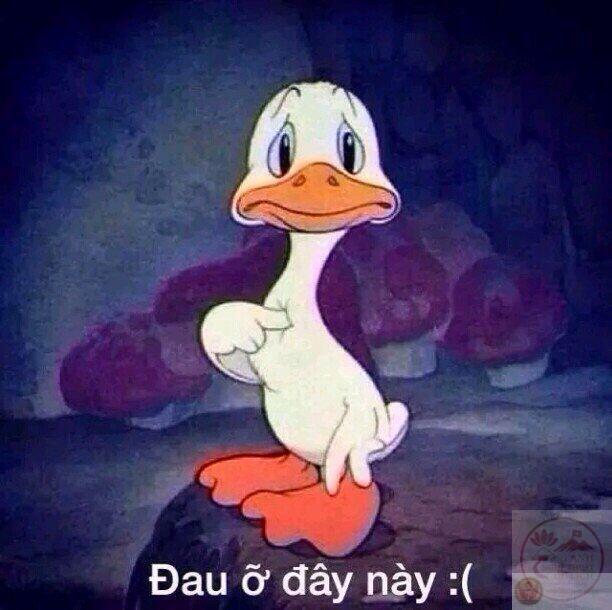 Đau ở đây này meme