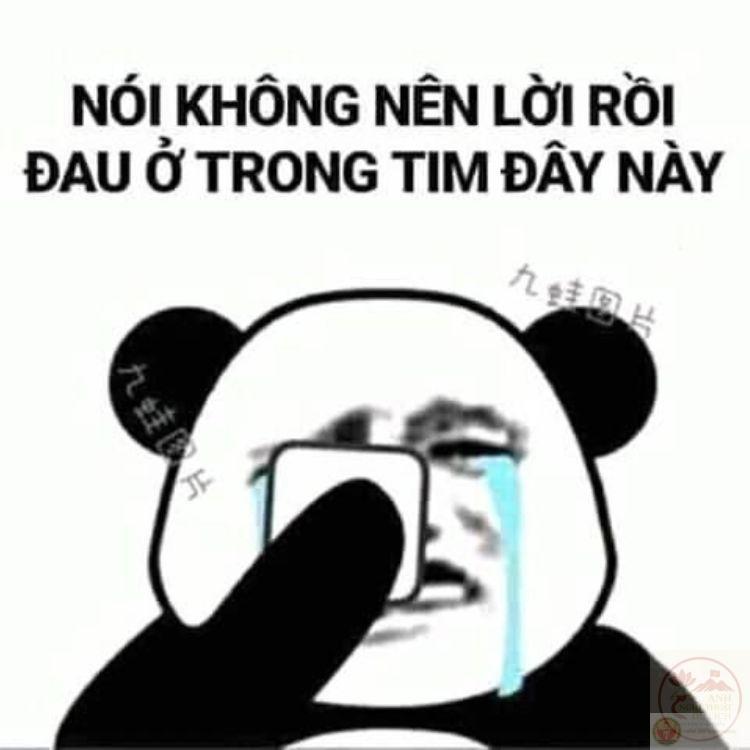 Thấm đến tận cùng với 160+ meme đau ở đây này, đau tim