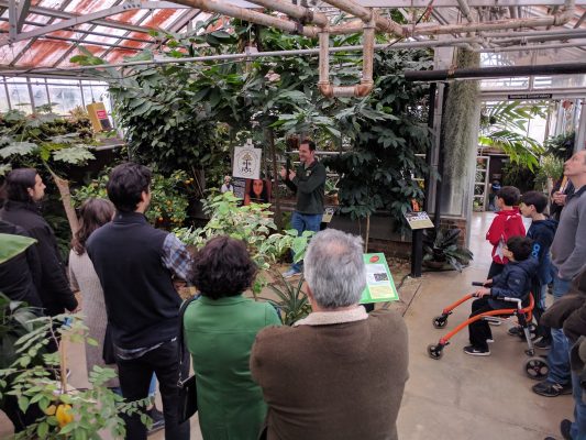 Valentine’s Day 2026 Orchid Sale