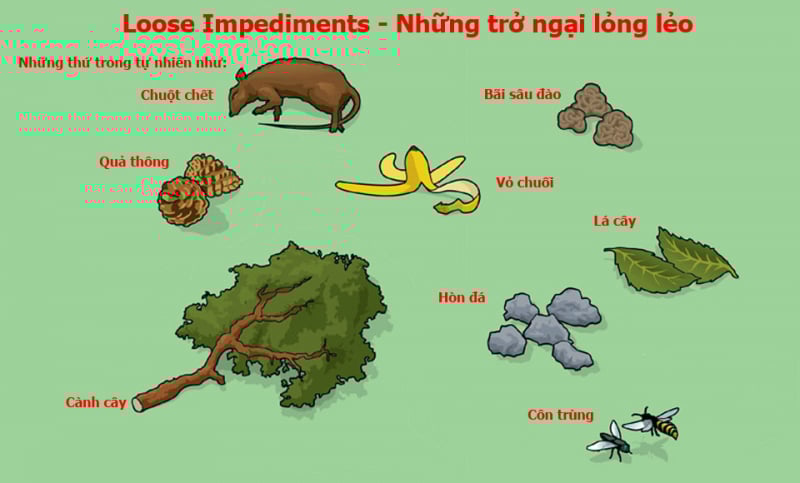 Vật thể tự nhiên rời