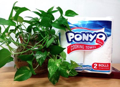 Khăn Giấy Lau Bếp Đa Năng PONYO Cặp 2 Cuộn 250g/Cuộn