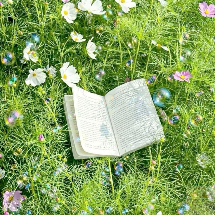 Tải ảnh cây xanh