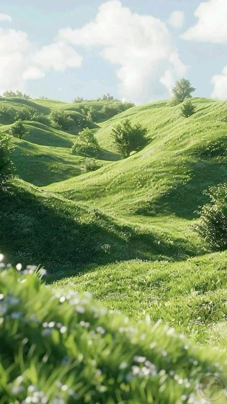 Ảnh trồng cây xanh