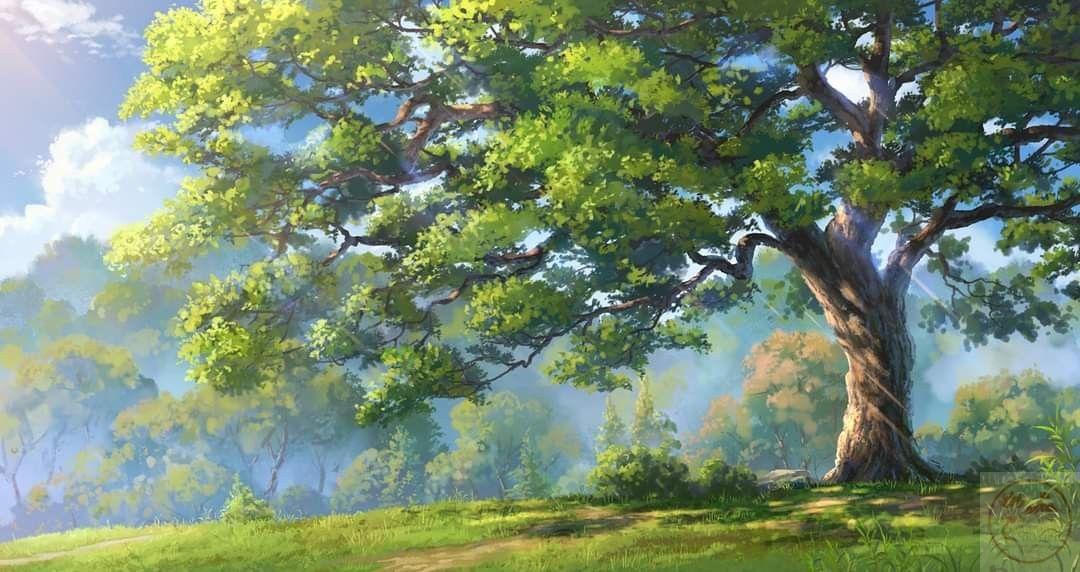 Ảnh cây xanh anime