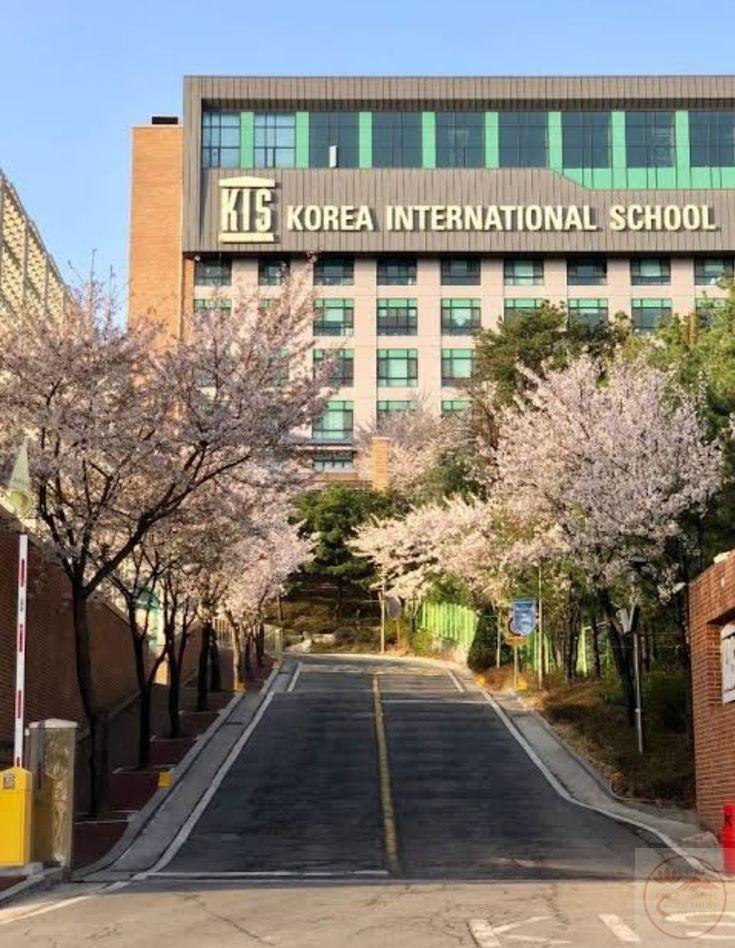 Cảm giác thư thái ùa về khi ánh nhìn dừng lại nơi khoảng xanh tĩnh lặng