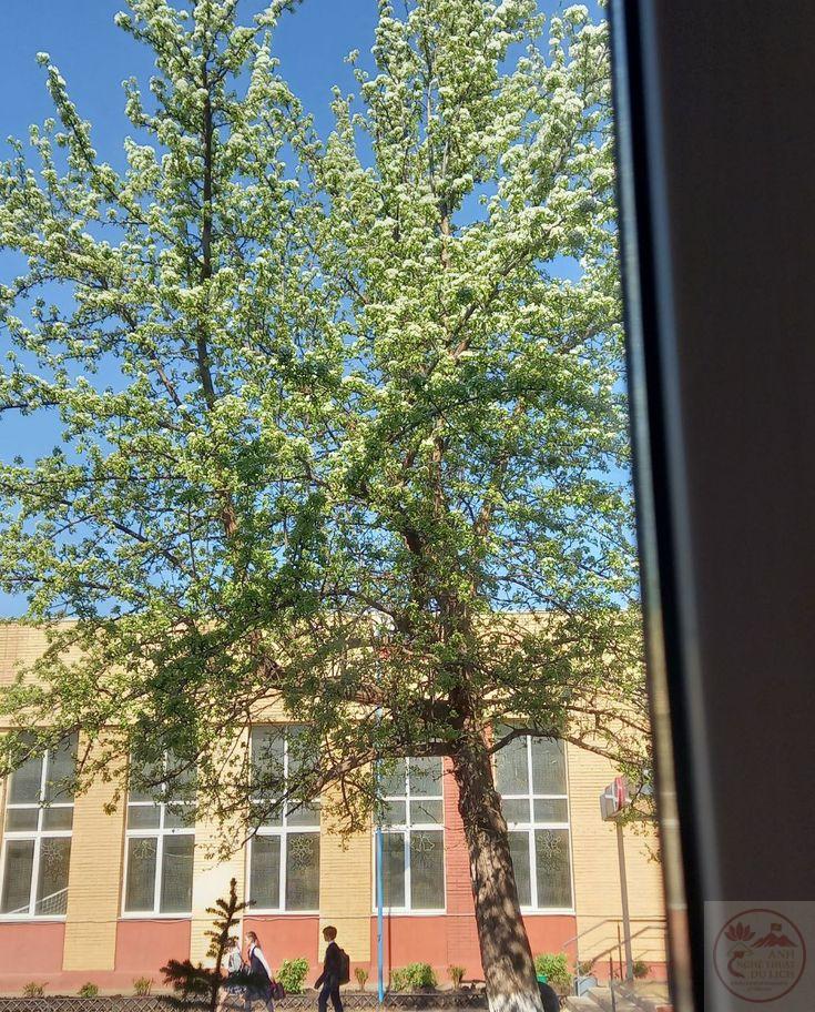 Không gian xanh mở ra cảm giác cân bằng và sự bình yên trong tâm trí