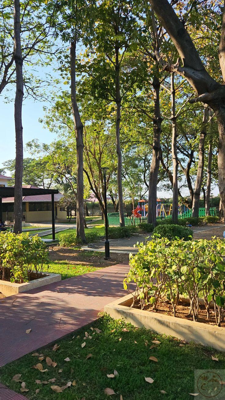 Màu xanh hiện diện gợi nhắc về nhịp sống nhẹ nhàng và đầy thư giãn