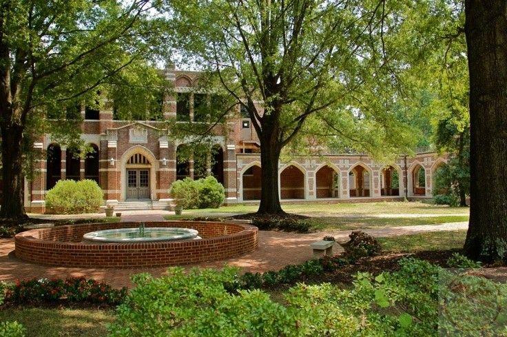 Niềm an yên dễ dàng tìm thấy trong khung cảnh được phủ kín màu xanh