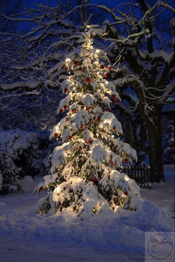 Không gian trở nên trọn vẹn hơn khi sắc xanh hiện diện thật dịu dàng