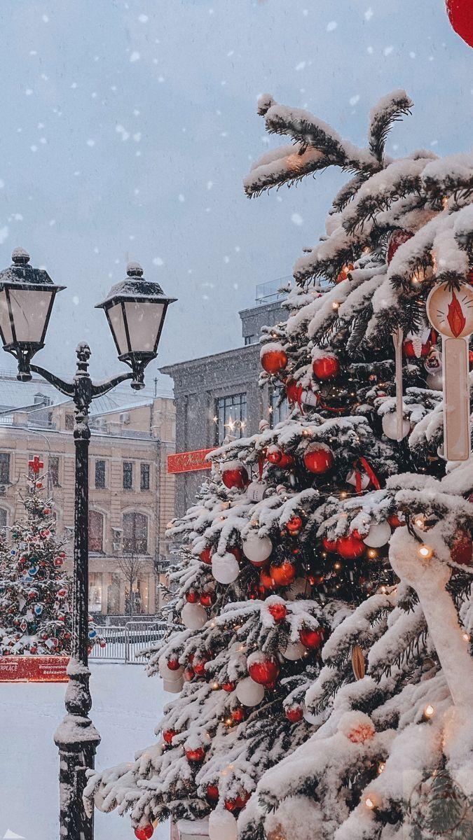 Niềm an nhiên hiện hữu trong vẻ đẹp tự nhiên giản dị mà đầy cuốn hút