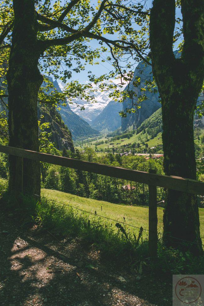 Niềm bình yên hiện hữu trong sắc xanh bền bỉ và đầy sự ấm áp