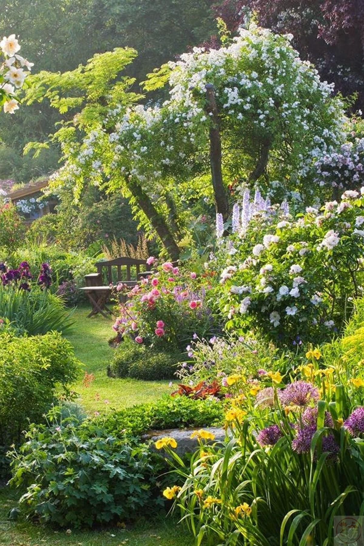 Bầu không khí thư thái toát ra từ từng mảng lá hiện diện gần gũi