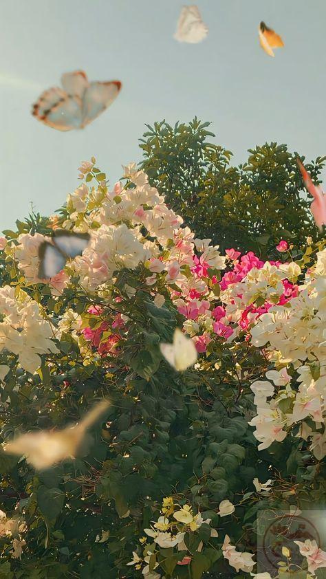 Hình nền cây xanh 4K