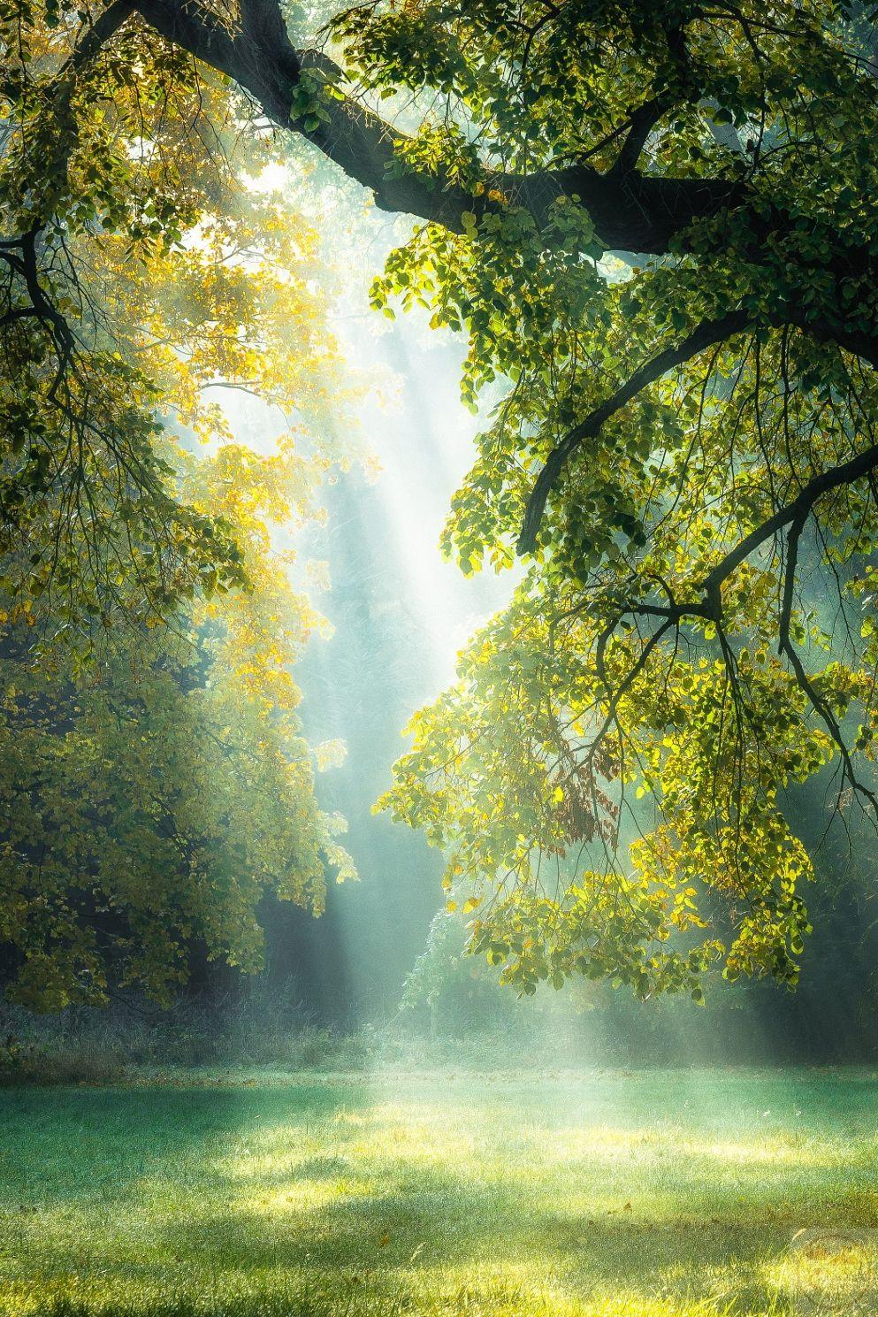 Từng khoảnh khắc nhẹ nhõm hiện ra trong bóng mát trải dài mênh mông