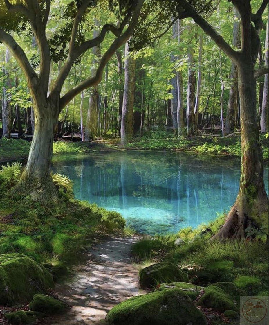 Cảm hứng mới khởi nguồn từ không gian rộng lớn của rừng cây tĩnh lặng