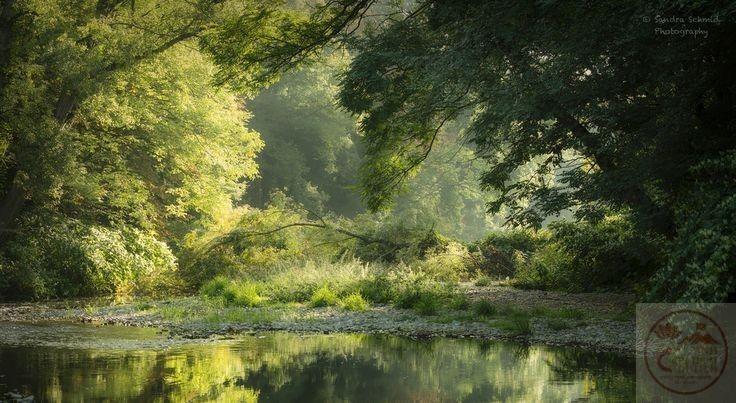 Khoảng xanh rộng mở đem lại cảm giác an toàn và thoải mái sâu lắng