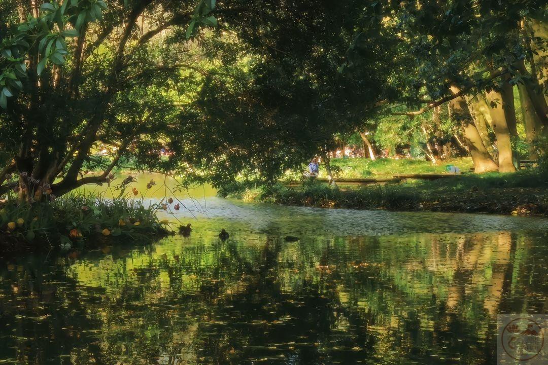 Niềm tin bình dị xuất hiện giữa sự bao phủ của lá xanh hiền hòa