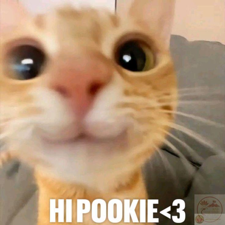 Hình chế chào hỏi thường được dùng để khởi động nhóm chat mỗi buổi sáng