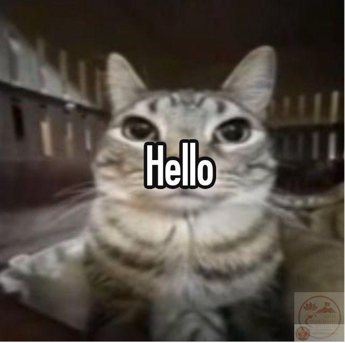 Meme hello