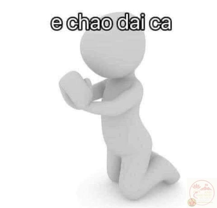 Meme em chào đại ca