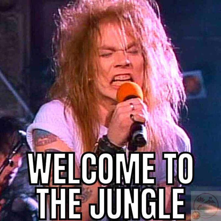 Xin chào kèm meme tạo cảm giác kết nối nhanh chóng mà không cần nhiều lời