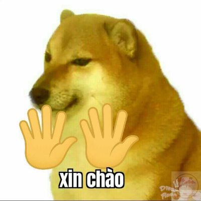 Meme xin chào: 130+ ảnh hello, “em chào đại ca” bá đạo
