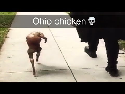 Ảnh meme Ohio