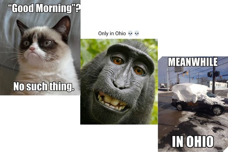 Ohio meme là gì