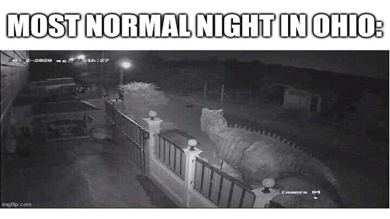 Ohio meme hài hước