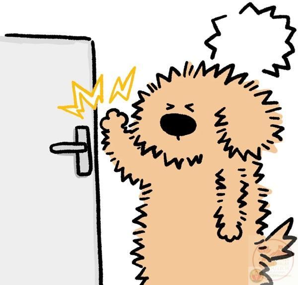 chích điện meme 9