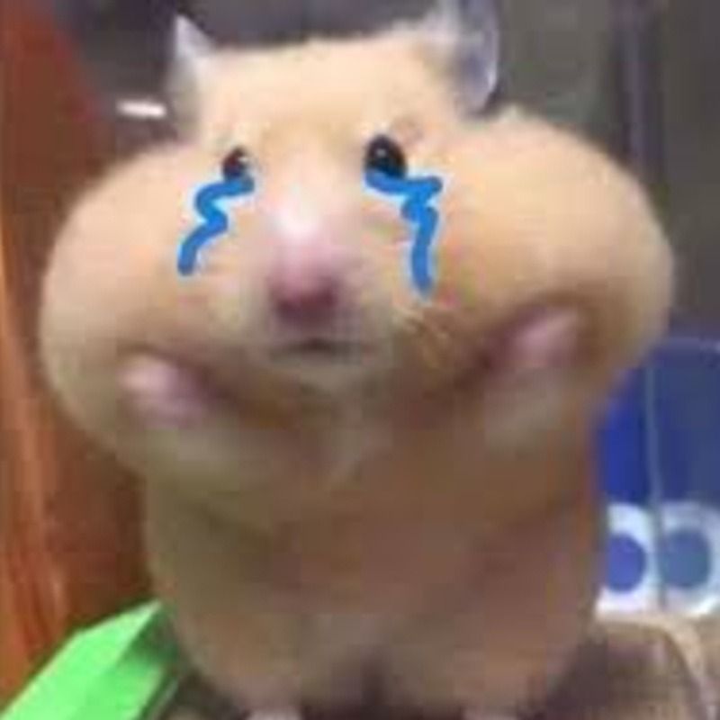 Hình ảnh meme chuột khác