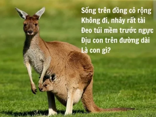 Top 50 câu đố về con vật thú vị, bổ ích