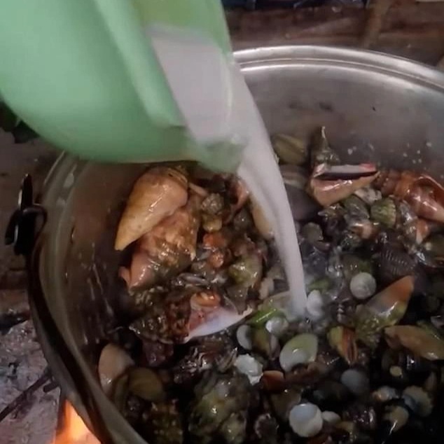 Ăn cua quỷ chứa độc tố cực mạnh để quay video, người phụ nữ tử vong - 1